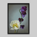 Advanced Monthly Art Classes